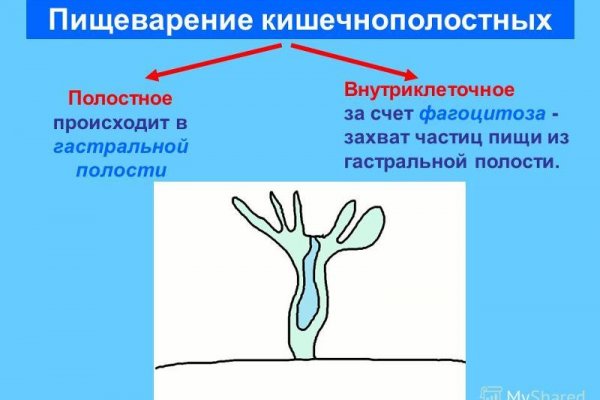 Кракен актуальные ссылки на сегодня