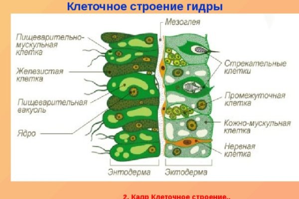 Сайт кракен не работает почему