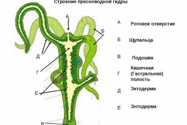 Кракен безопасный вход