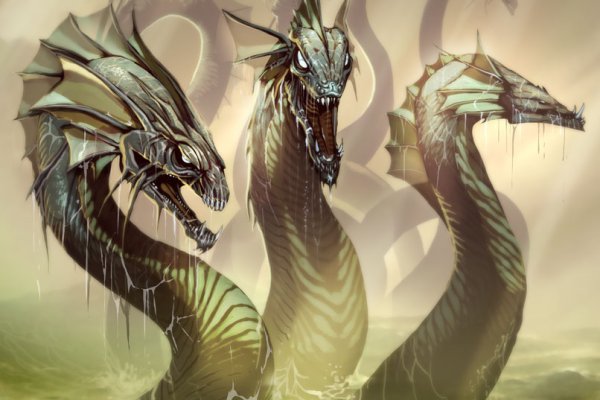 Kraken 18
