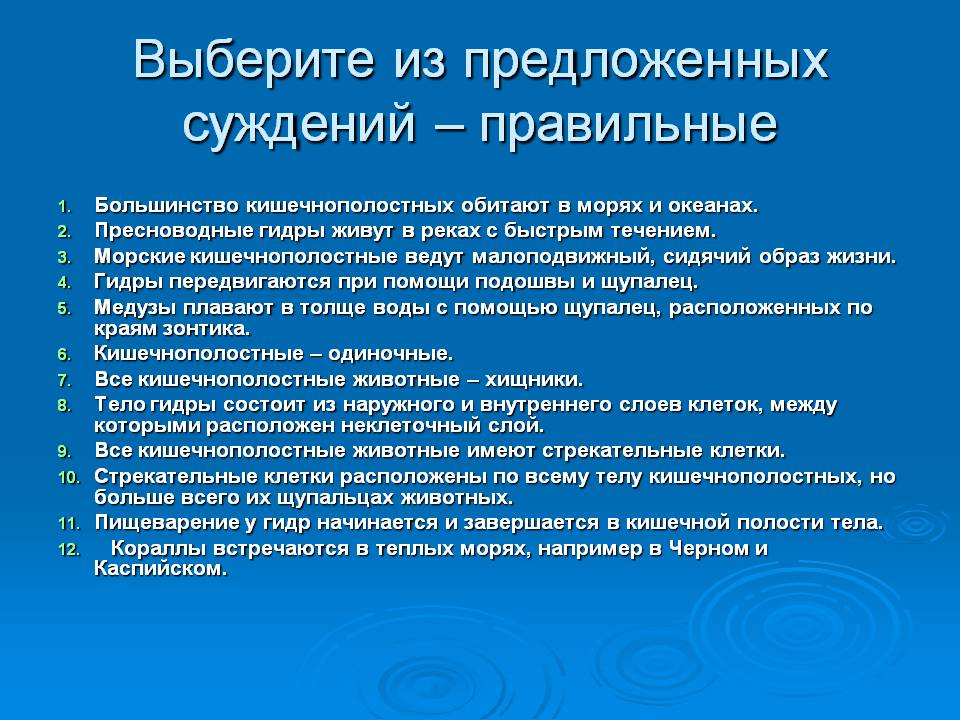 Рабочее зеркало на кракен